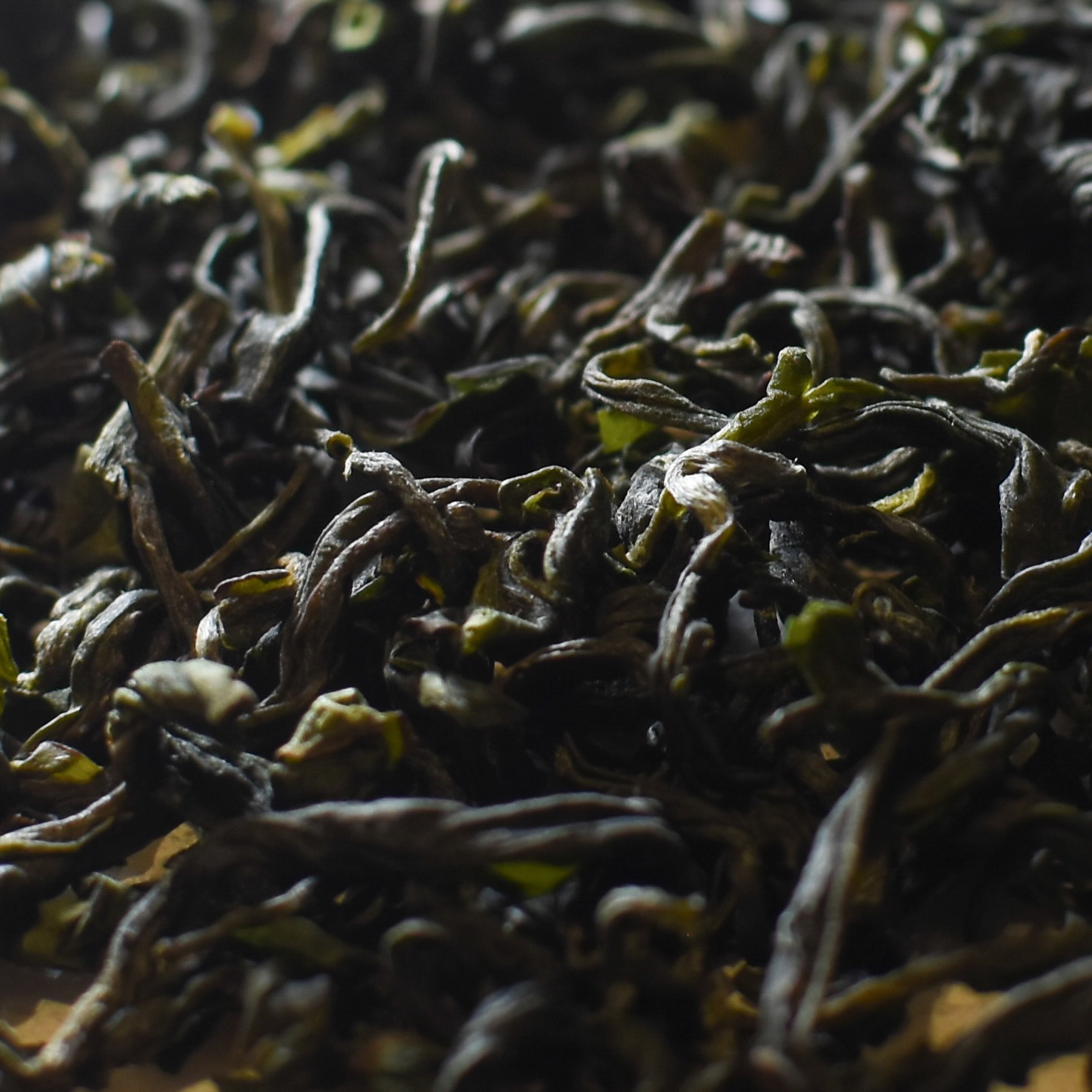 大和烏龍茶